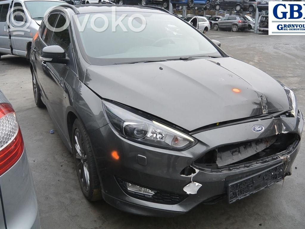Focus Focus  1910976