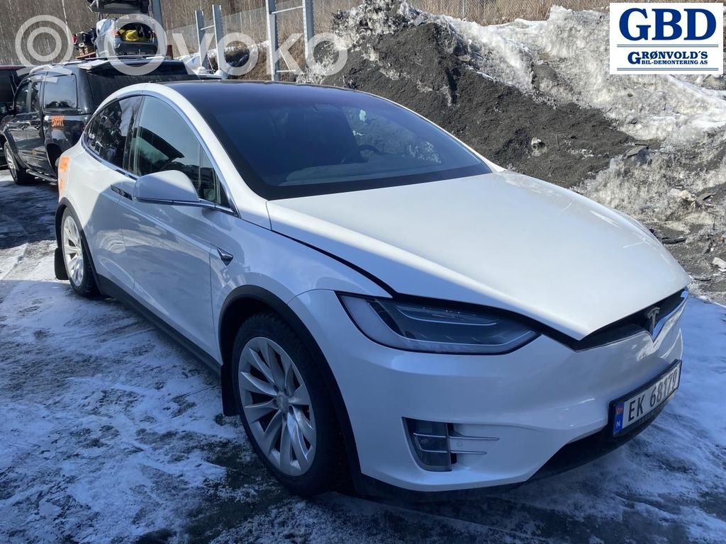 Model X Tesla Model X  104390000E