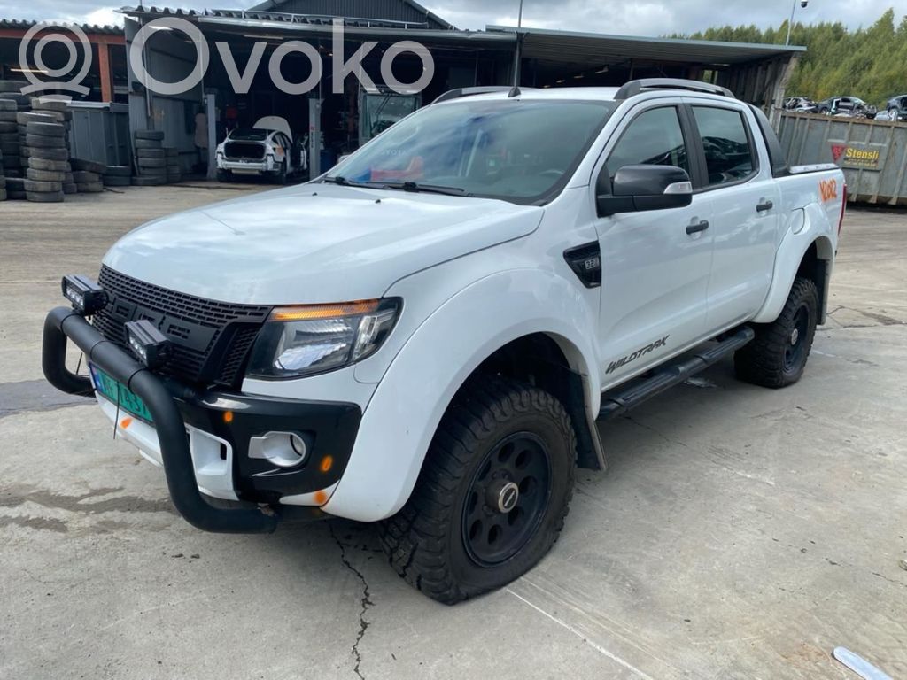 Ranger Ranger  1916055