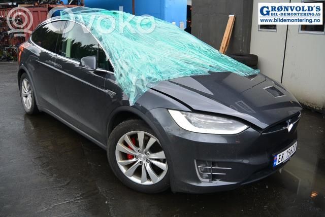 Model X Tesla Model X  103676700A