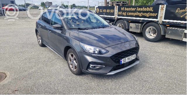Focus Focus  2688674