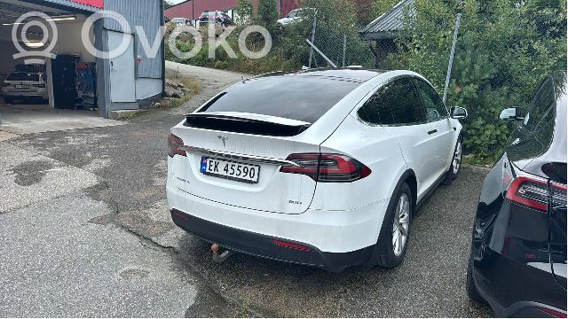 Model X Tesla Model X  105186400A