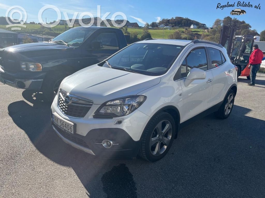 Mokka Mokka  13597226