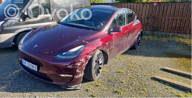 Model Y Tesla Model Y  151444802H