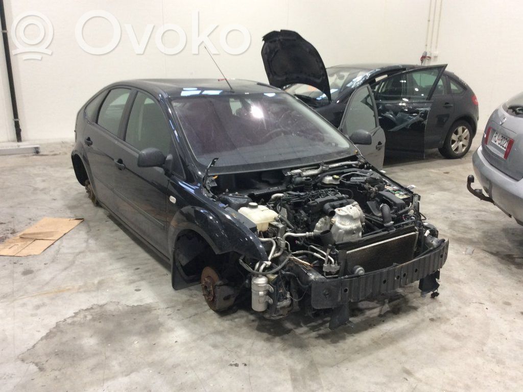 Focus Focus  4892382