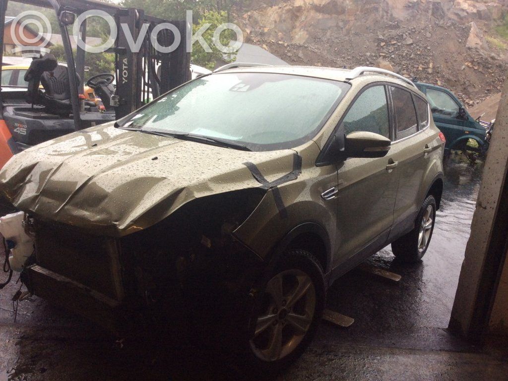 Kuga II Kuga  1855901