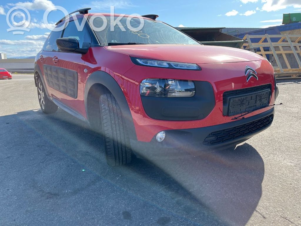 C4 Cactus C4 Picasso, Grand Picasso, Aircross, Cactus  9674077280