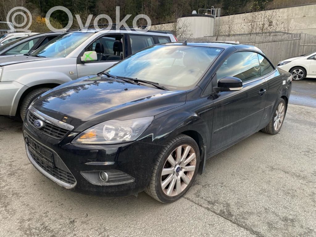 Focus Focus  1418592