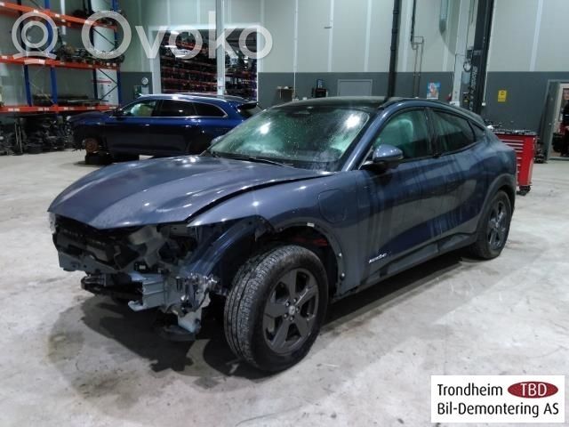 Mustang Mach-E Mustang Mach-E  LJ9C2C219AK