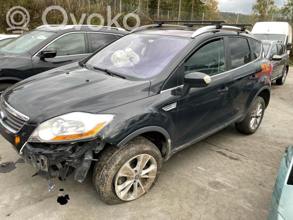 Kuga I Kuga  2242403