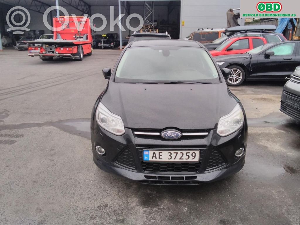 Focus Focus  1882875