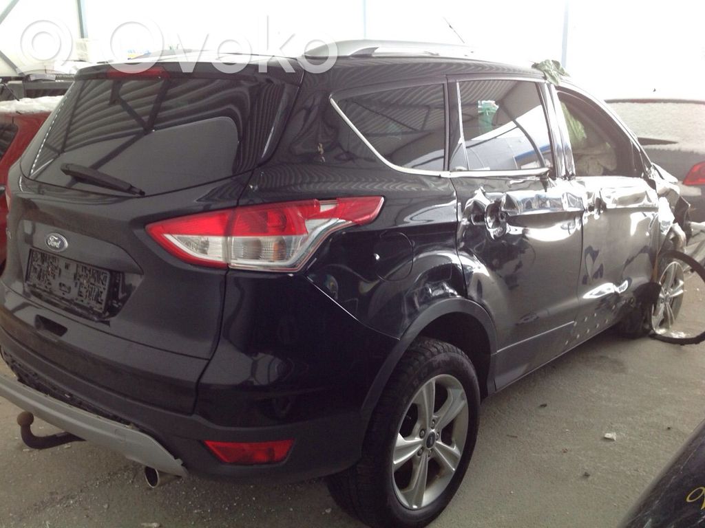 Kuga II Kuga  1790357