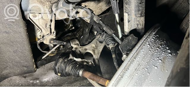 Kuga III Kuga  2432225