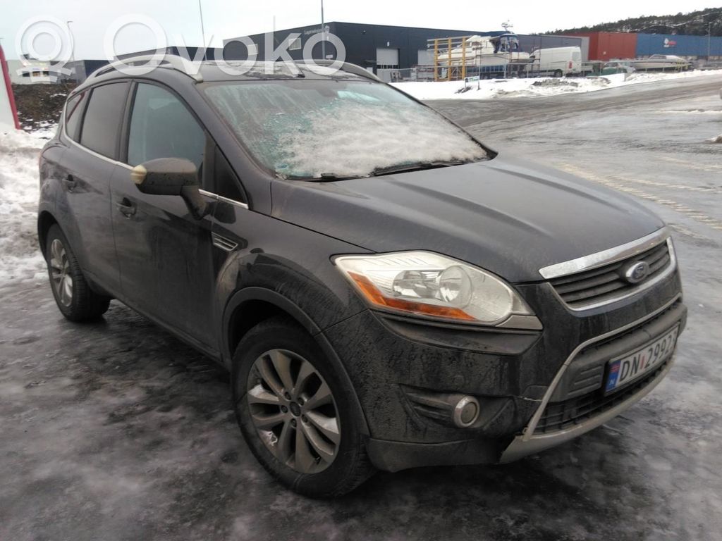 Kuga I Kuga