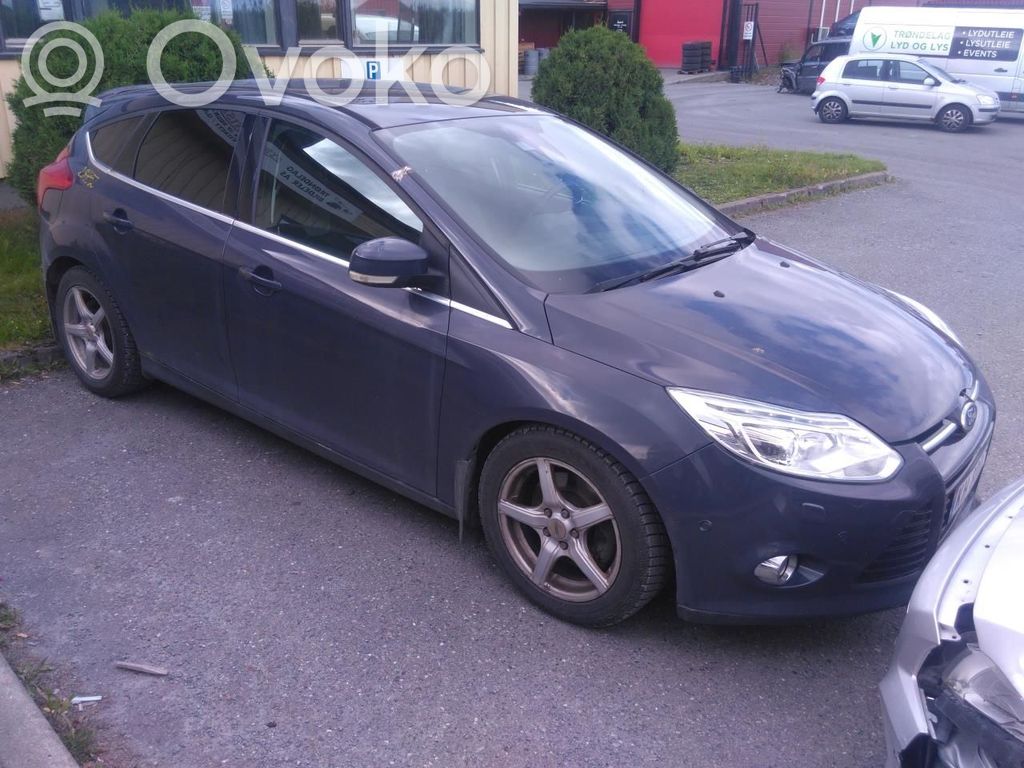 Focus Focus  1706279