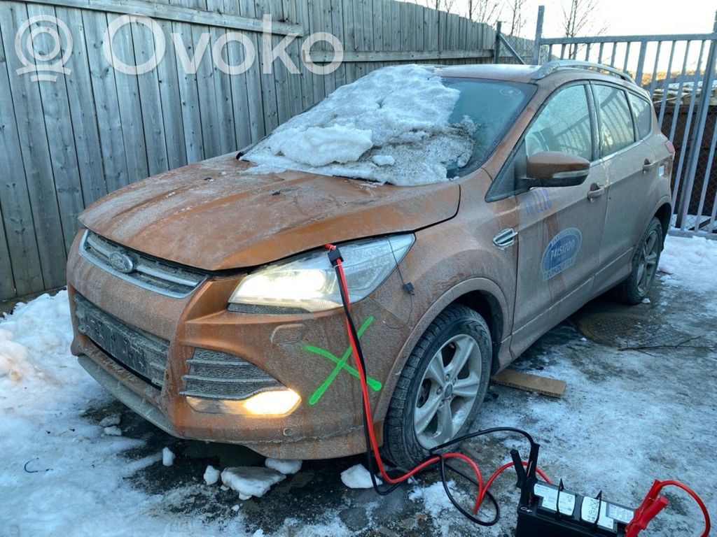 Kuga II Kuga  1870892
