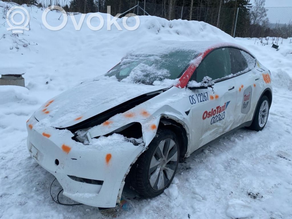Model Y Tesla Model Y  118883100J