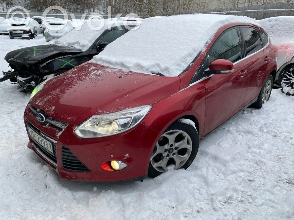 Focus Focus  1685766