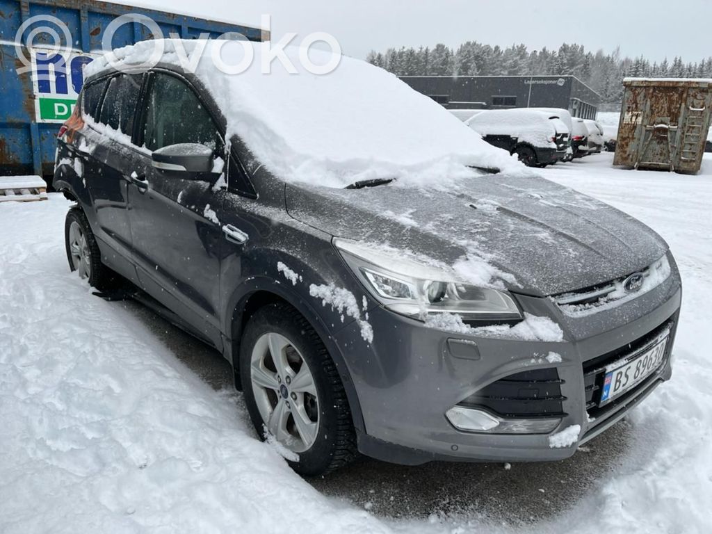 Kuga II Kuga