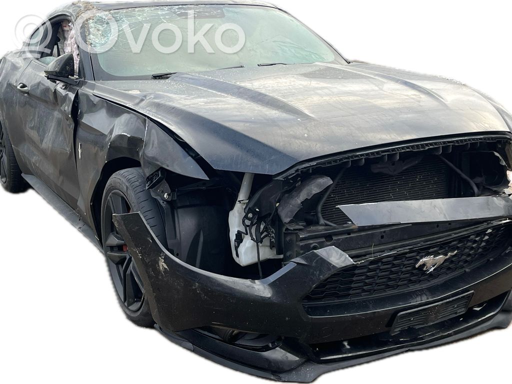 Mustang VI Mustang  FR3C6038AE