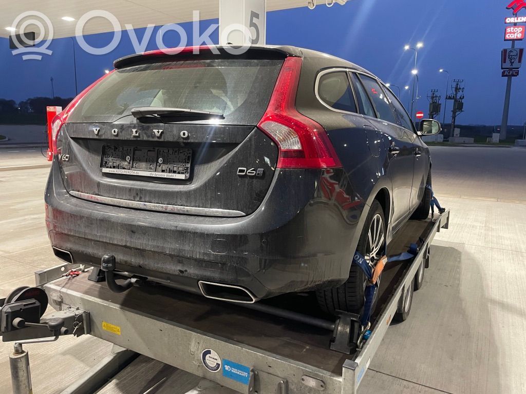 V60 V60, V60 Cross Country  P1285033