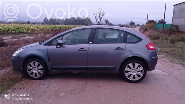 C4 I C4 Picasso, Grand Picasso, Aircross, Cactus  9004W4