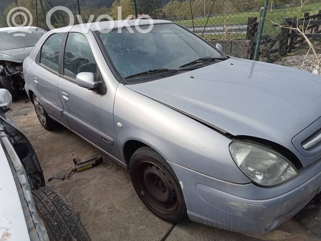 Xsara Xsara, Xsara Picasso