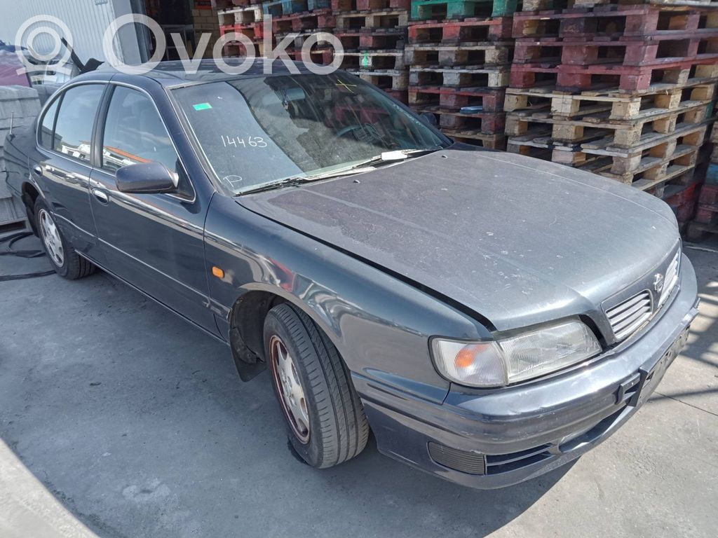 Maxima Maxima  VQ20