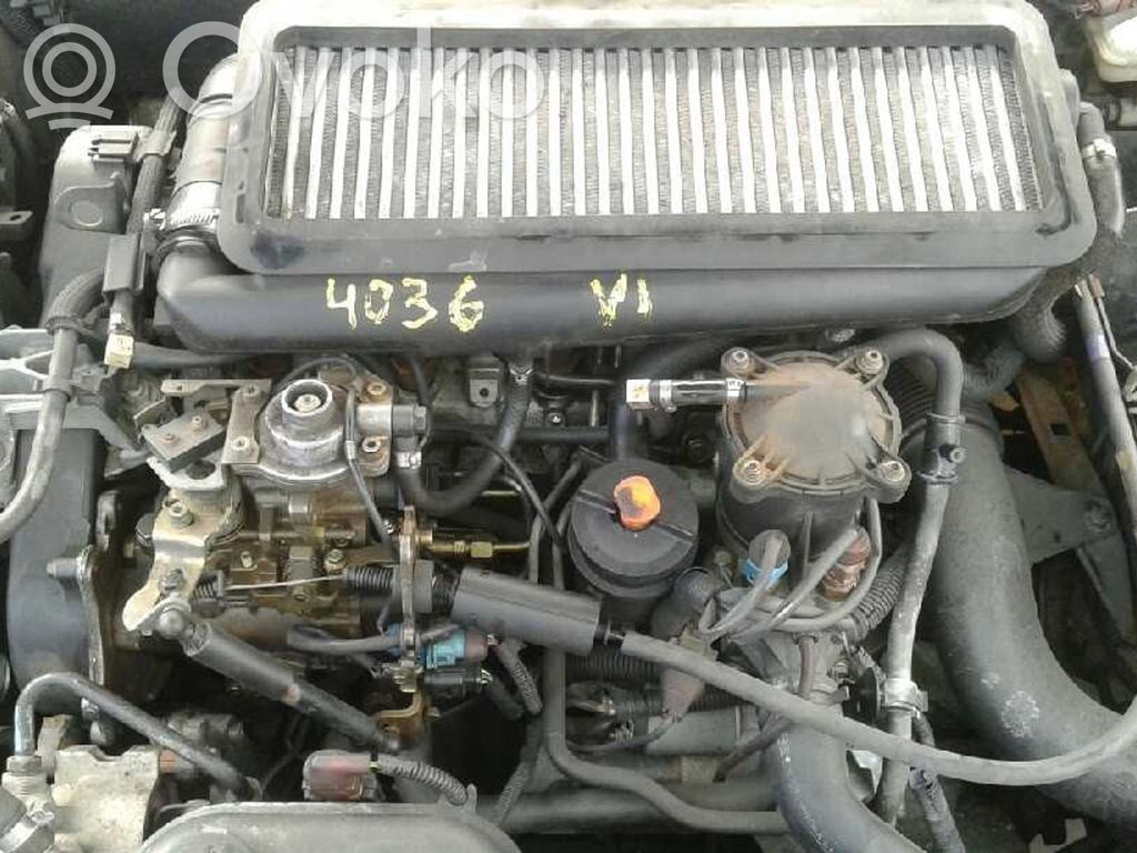 Xsara Xsara, Xsara Picasso