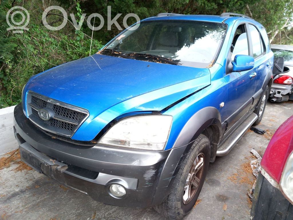 Sorento Sorento  663213E110