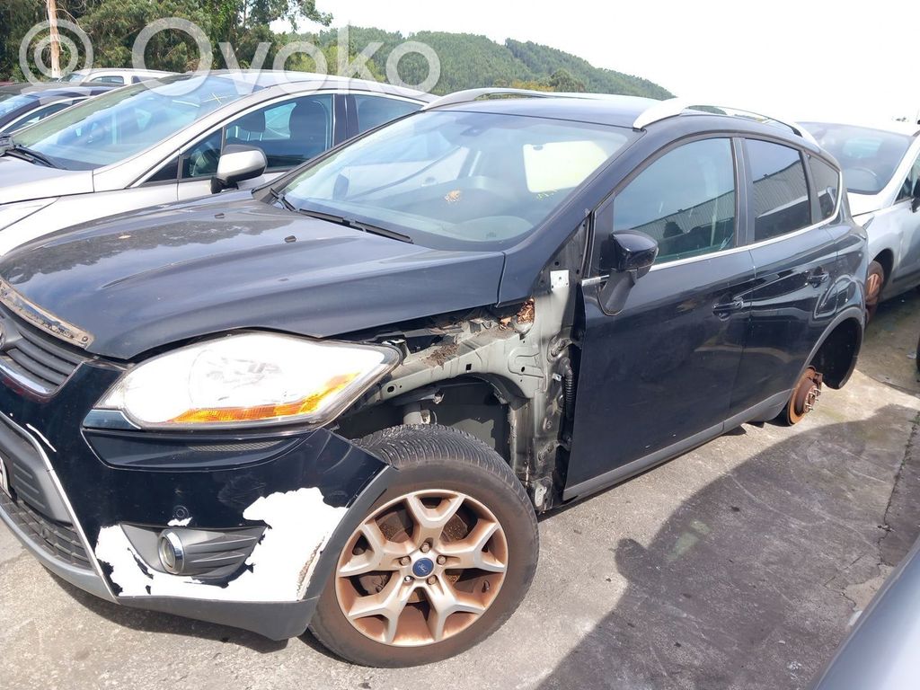 Kuga I Kuga