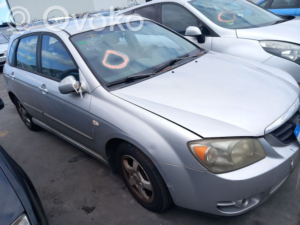 Cerato Cerato
