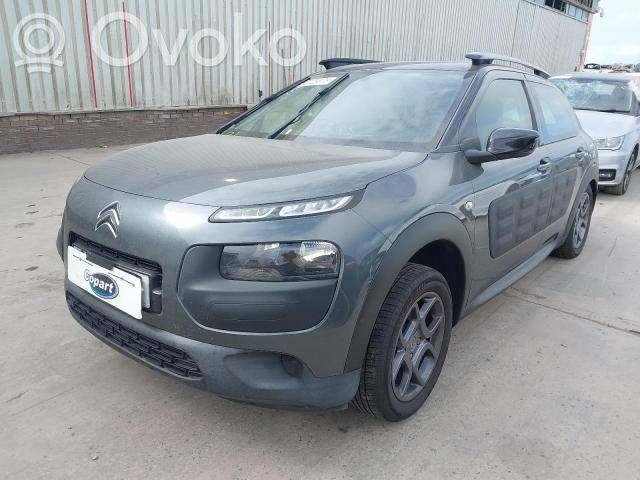 C4 Cactus C4 Picasso, Grand Picasso, Aircross, Cactus  1611428480
