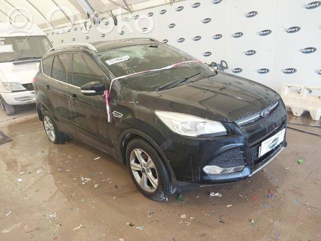 Kuga II Kuga  UFMA