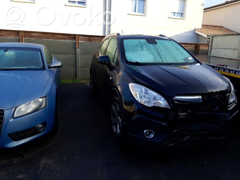 Mokka Mokka  AME47701
