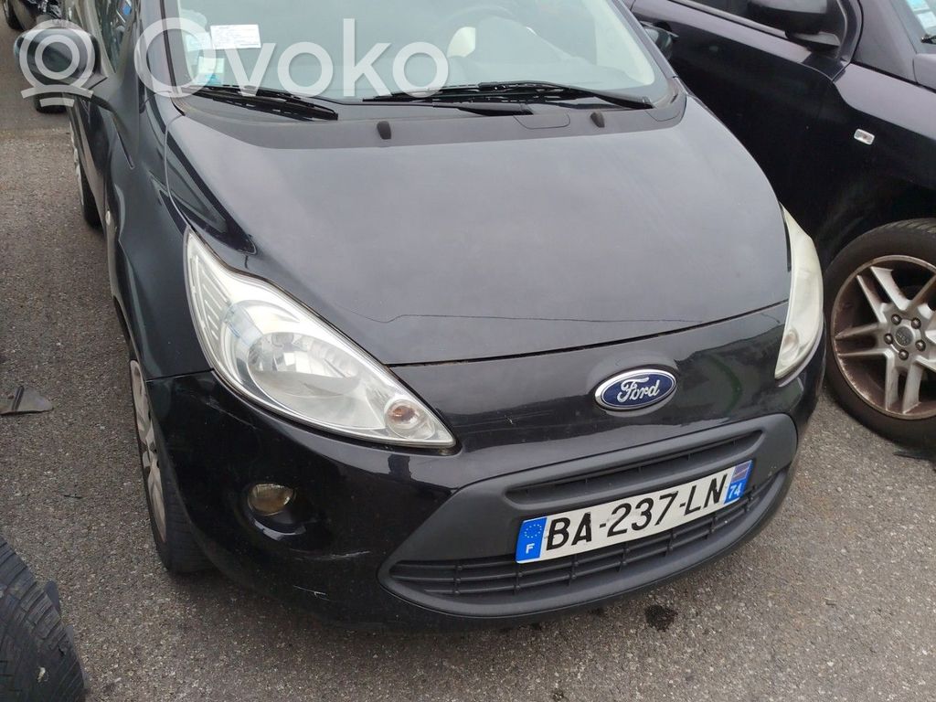 Ka Ka  1565867