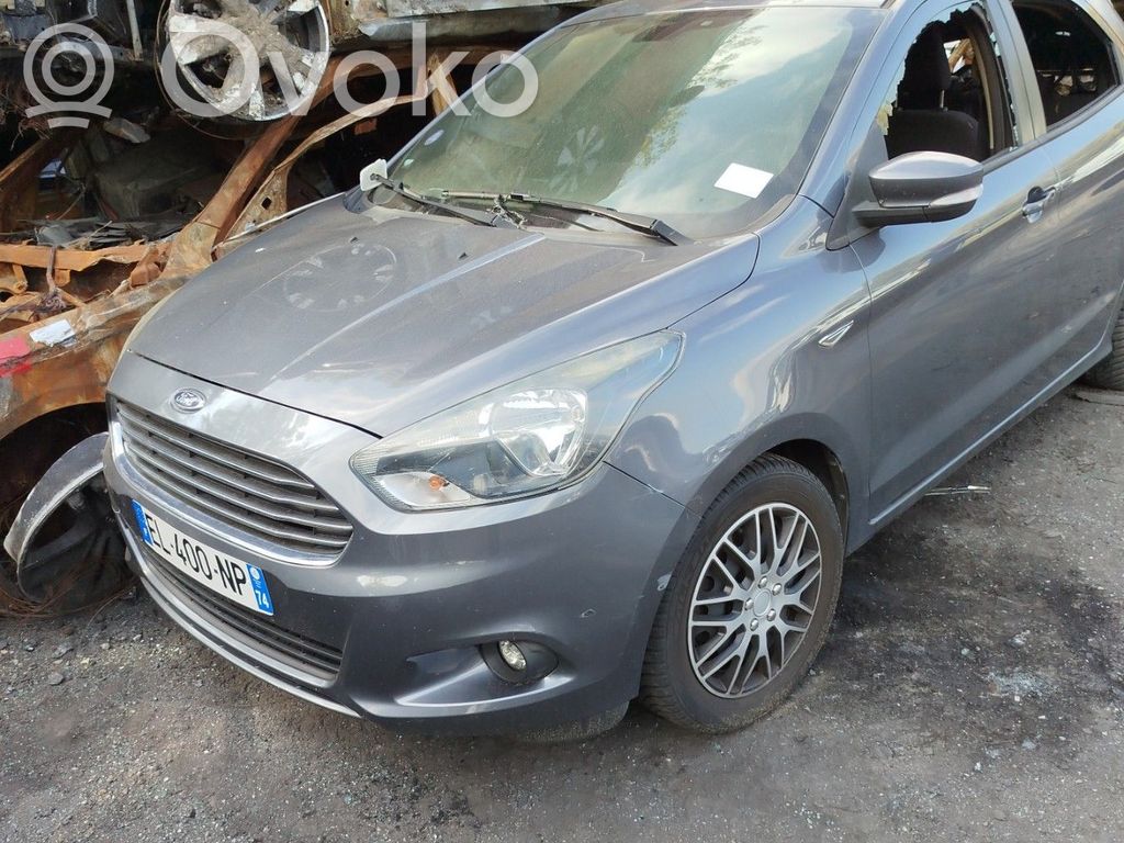 Ka Ka  2137680