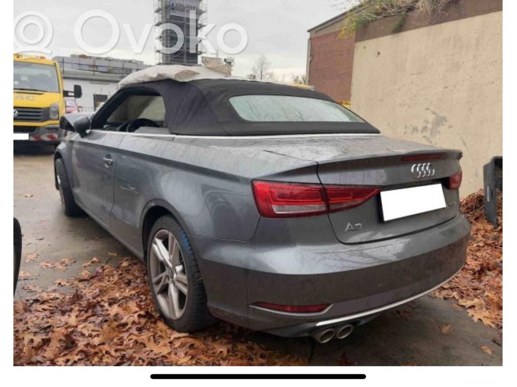 A3 S3 8V A3, S3  5QA919294