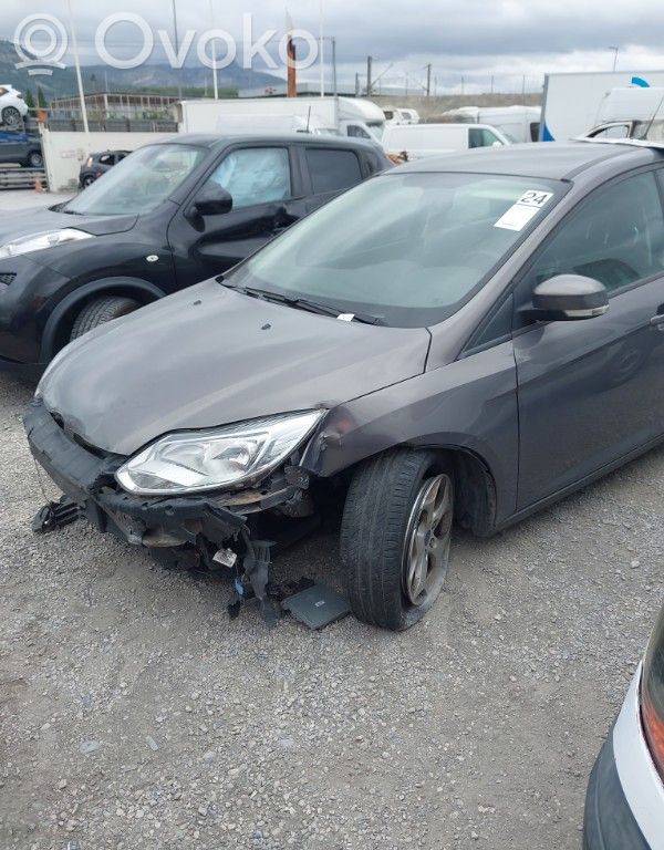 Focus Focus  2135607