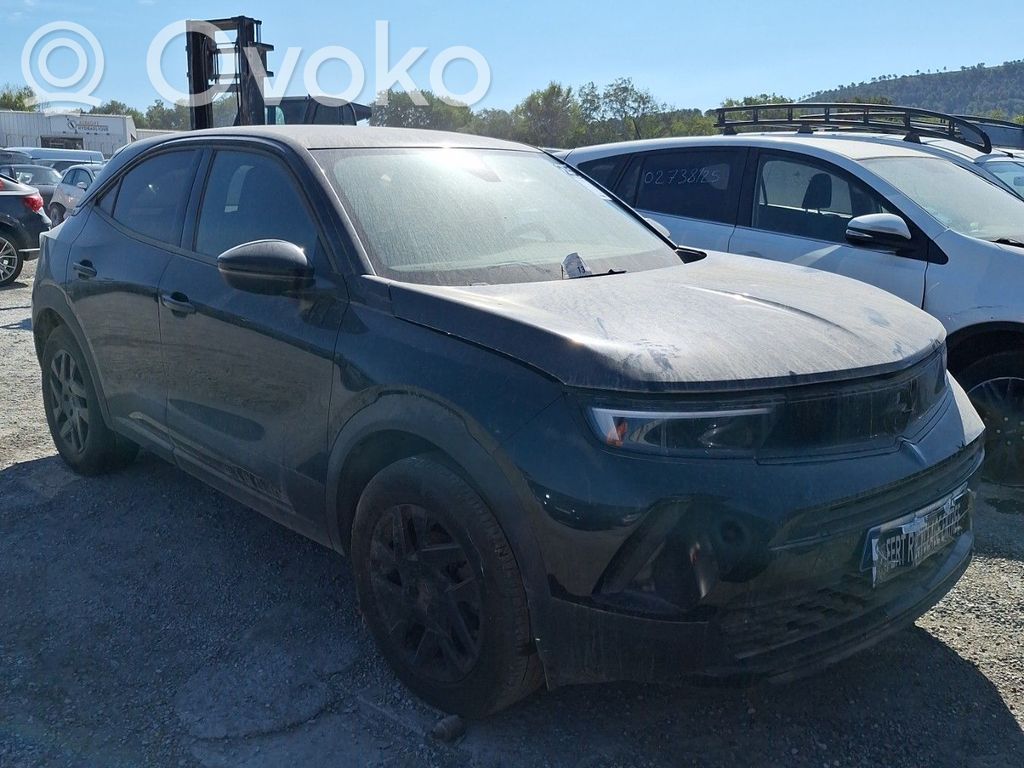 Mokka B Mokka  1687878480