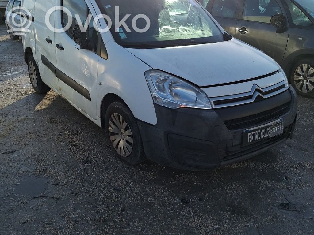 Berlingo Berlingo  1607950680