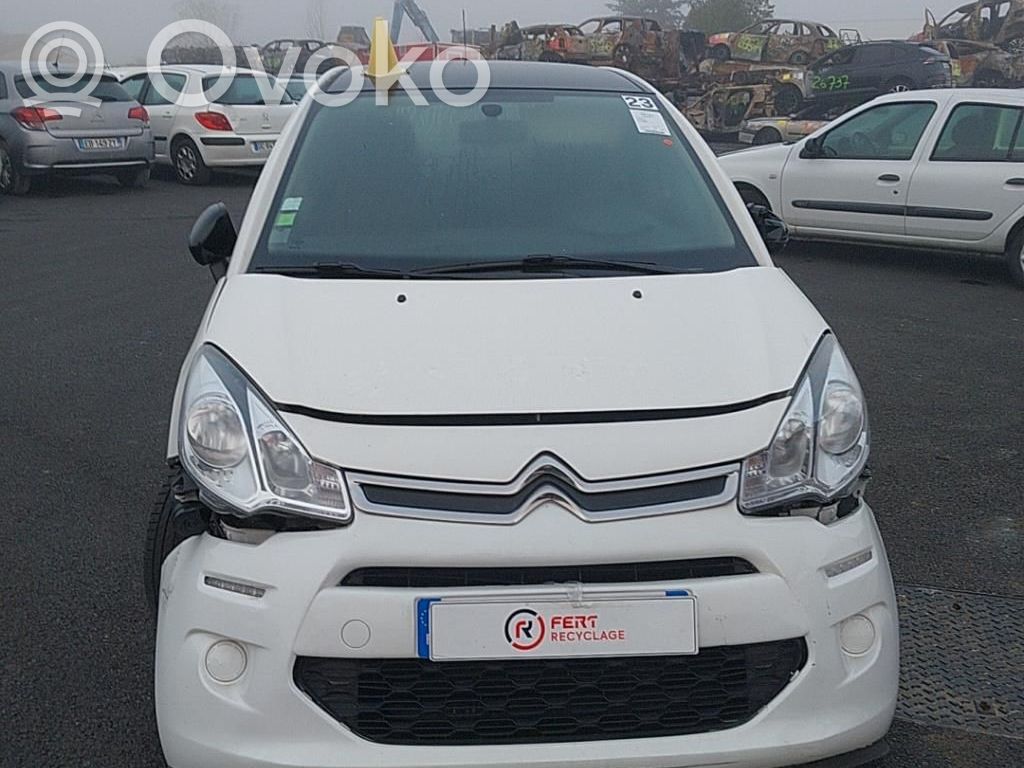 C3 C3, Pluriel, Picasso  00004109NR