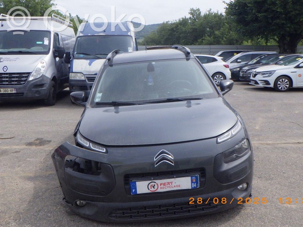 C4 Cactus C4 Picasso, Grand Picasso, Aircross, Cactus  1611428480