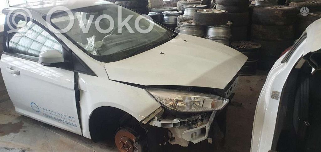 Focus Focus  BV615A969CC