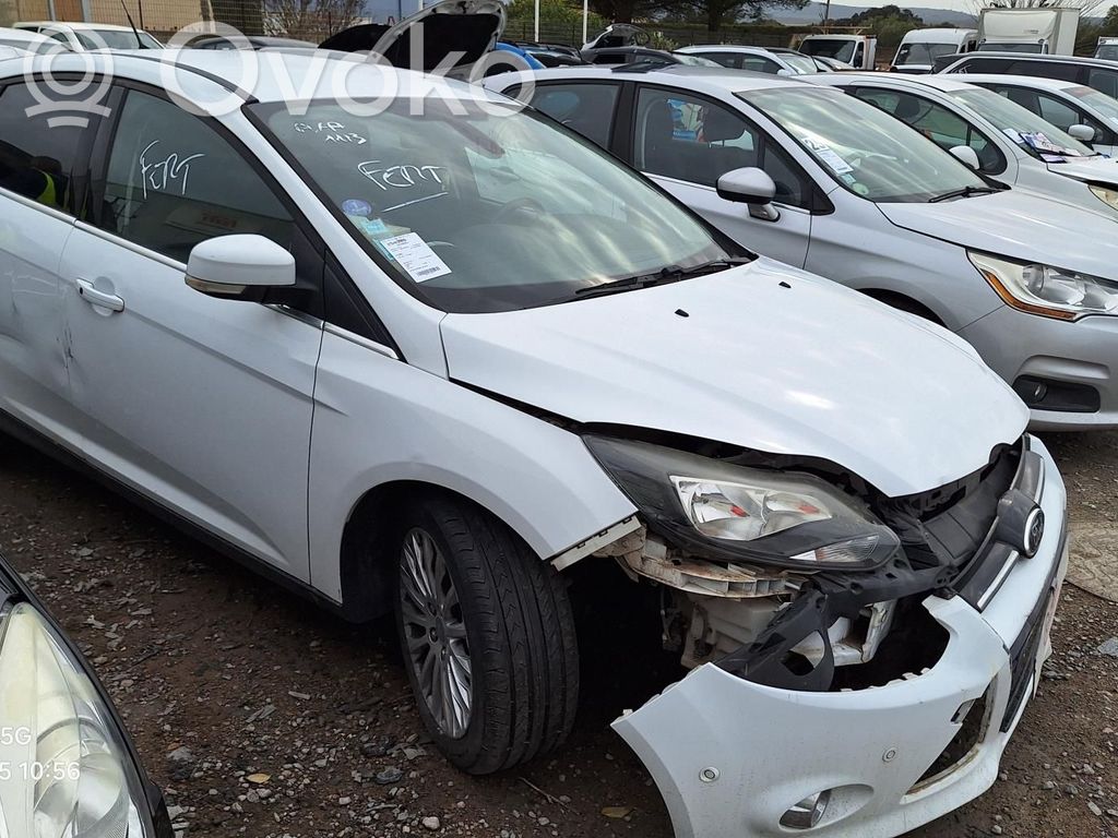 Focus Focus  1726205