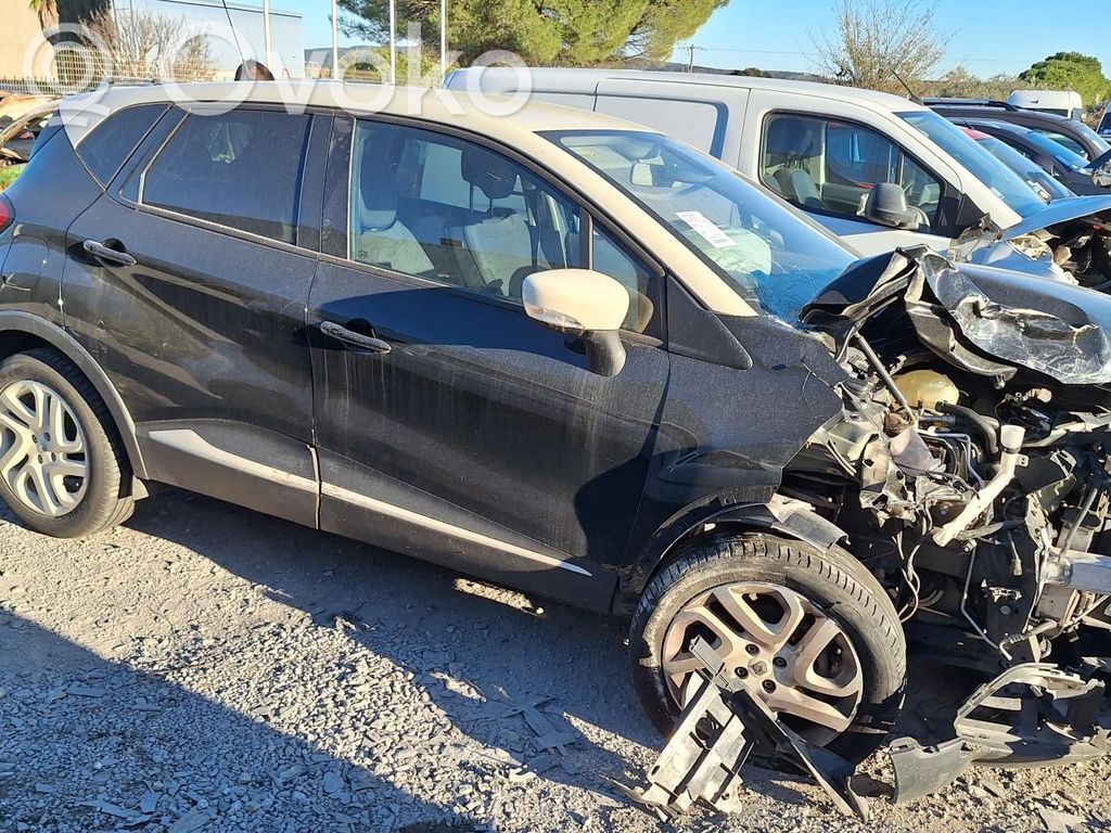Captur Captur  251906865R