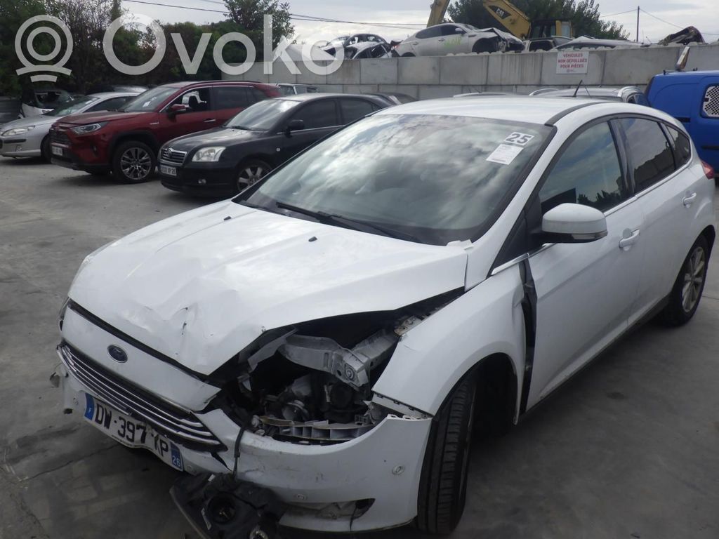 Focus Focus  1866053