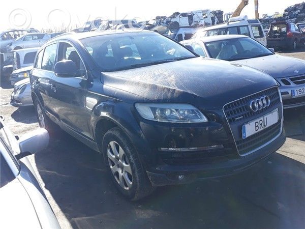 Q7 4L Q7  BUG