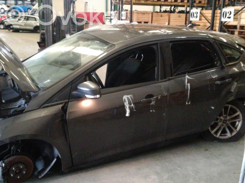 Focus Focus  921755107
