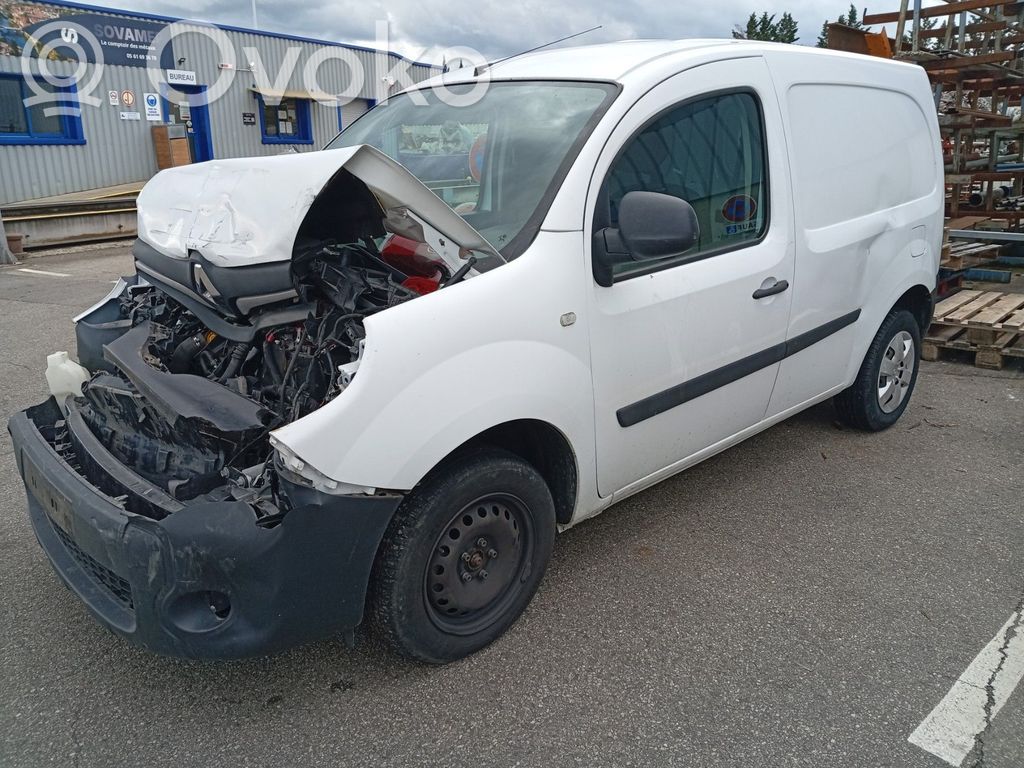 Kangoo II Kangoo  223673726R